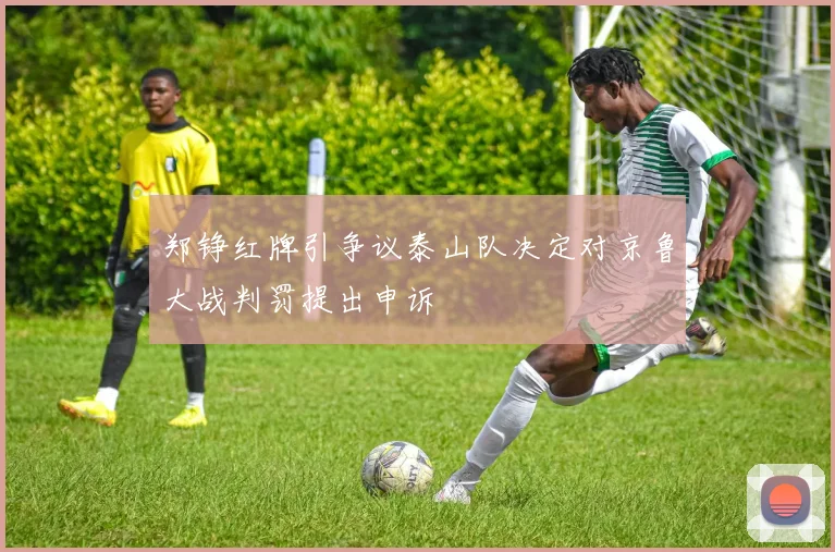 郑铮红牌引争议泰山队决定对京鲁大战判罚提出申诉