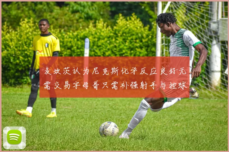 麦坎茨认为尼克斯化学反应良好无需交易字母哥只需补强射手与控球手